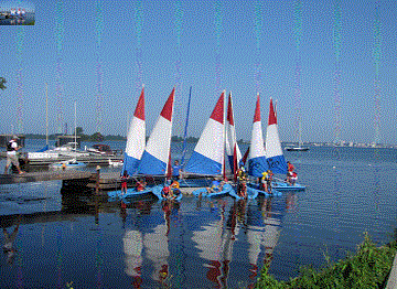 sailing-picture.gif