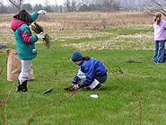 children busily planting trees